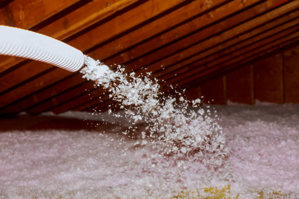 Best Insulation Maintenance and Repair in Tremont, IL