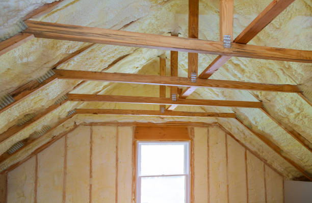 Best Insulation Installation Services in Tremont, IL