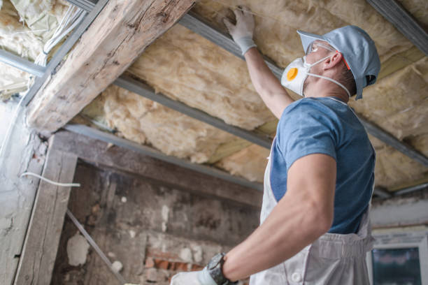  Tremont, IL Insulation Contractor Pros