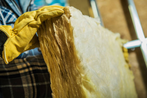 Best Specialty Insulation in Tremont, IL