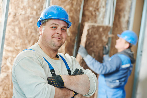 Best Residential Insulation in Tremont, IL